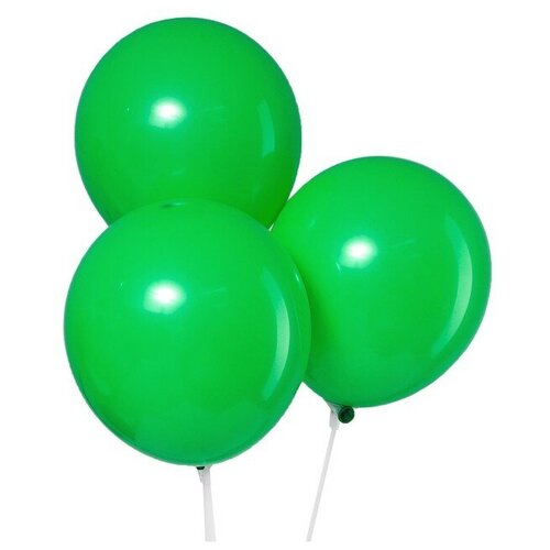 ������ ������ ����� ��������� ����� Leti �������, 12