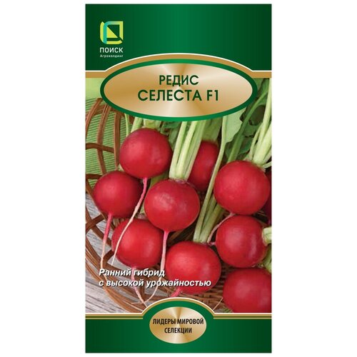 ������ ������ ������ ����� ������� F1 2 ��. ����