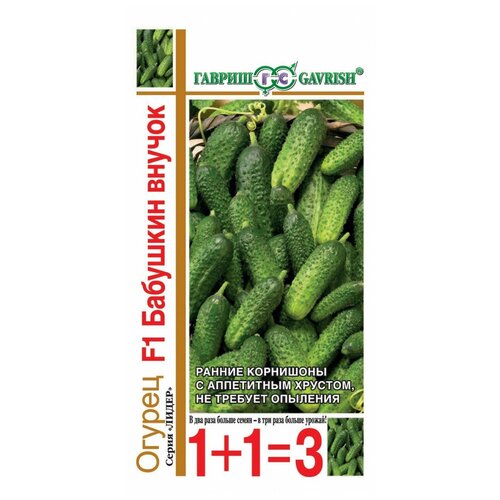 ������ ������ ������ �������� ������ F1 ������ 20 ����� ����