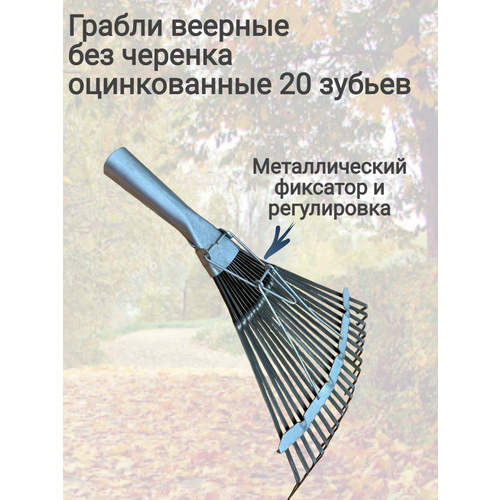 ������ ������ ������ ������� ����