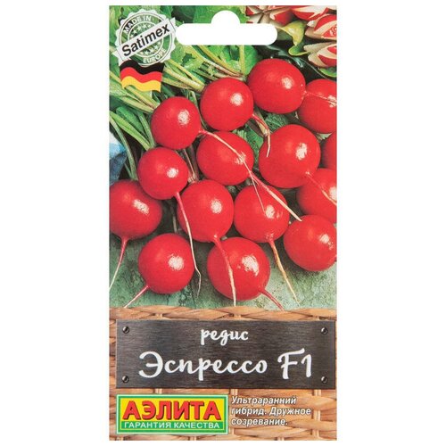 ������ ������ ������. ����� 