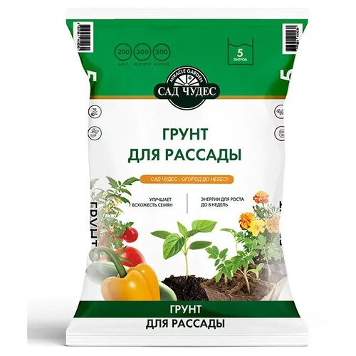 ������ ������ ����� ��� ������� 5 � ��� ����� ����