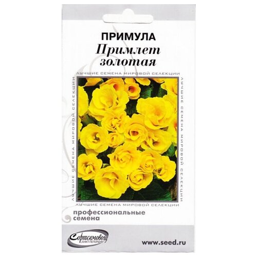 ������ ������ ������� �������, �������, 4 ����� ����