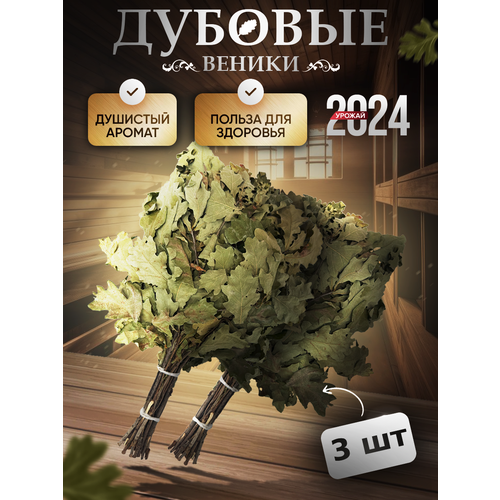 ������ ������ ������� ����� ��� ���� ����