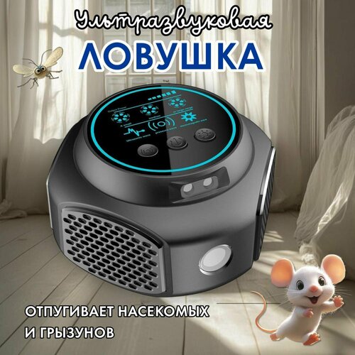 ������ ������ ������������ 100% - ���������, �������������� ������������ �����, ����, ��������� ����