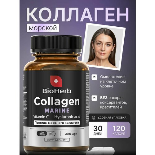 ������ ������ BioHerb ������� �������� � ��������� � � ������������ ��������, 120 ������ ����