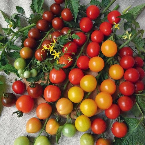 ������ ������ ����� �����, ����� 0.1 ������ ����� ������� ������ ����