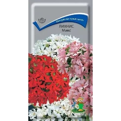 ������ ������ ������ ����, ������ ����� 0,1� ����