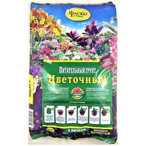 ������ ������ ����� ��� ������ ��������� 5� ����