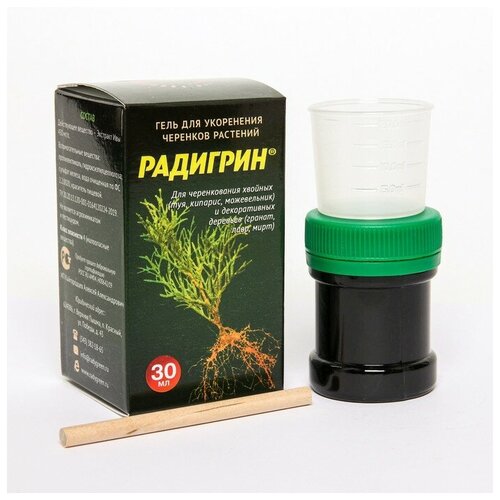 ������ ������ ����������� ��� ������� �������� 