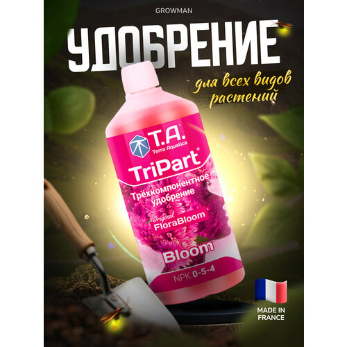    TriPart Bloom T.A. (GHE)  1 .   -     , -,   