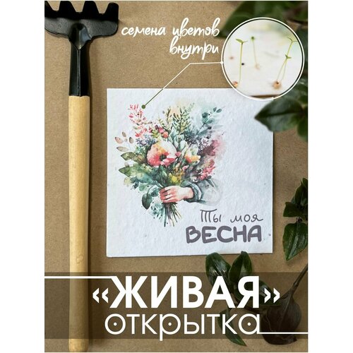 ������ ������ 