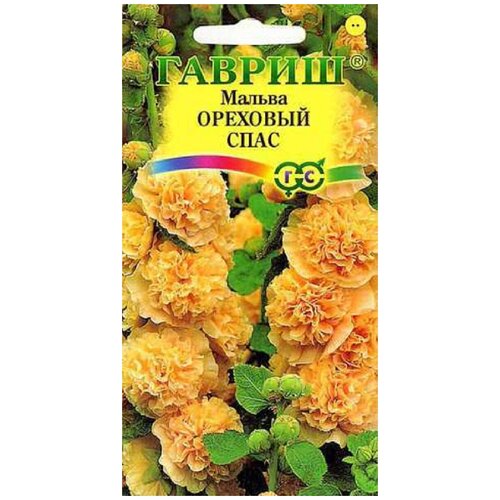 ������ ������ ������. ������ 