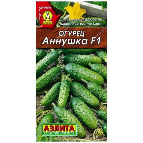 ������ ������ ������. ������ 