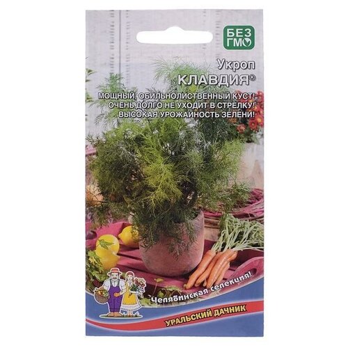 ������ ������ ������ ����� 