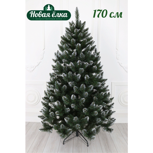 ������ ������ ��� ������������� 