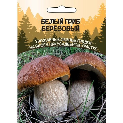 ������ ������ ����� ����� ��������� 15��/30��/10 ����