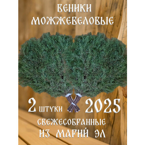 ������ ������ ������������ ������ ��� ���� �� ����� �� � ������� 2 ����� ����