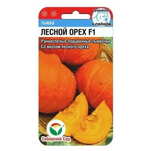 ������ ������ ������ ���� F1 5�� ����� (��� ���) ����