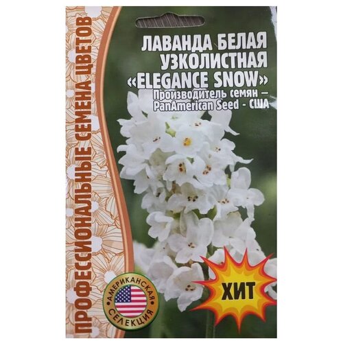 ������ ������ ������ ������� ����� ����������� 