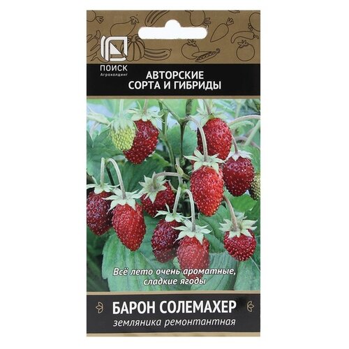 ������ ������ ������ ����� ��������� ������������ ����� ��������� 100 ��. ����