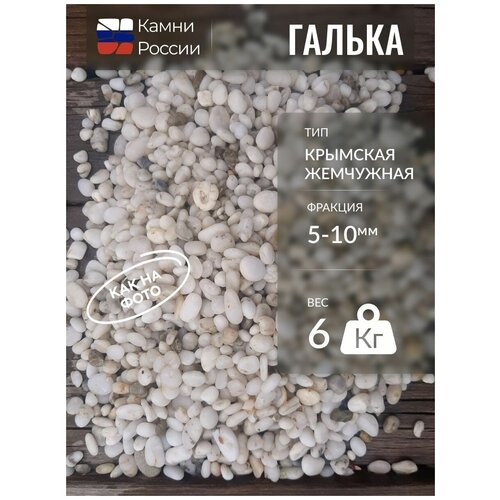 ������ ������ ������ �������� ���������, ������� 5-10�� ����