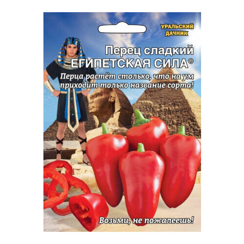 ������ ������ ������ ����� ���������� ���� 12�� (10��) ������ (��������� ������) ����