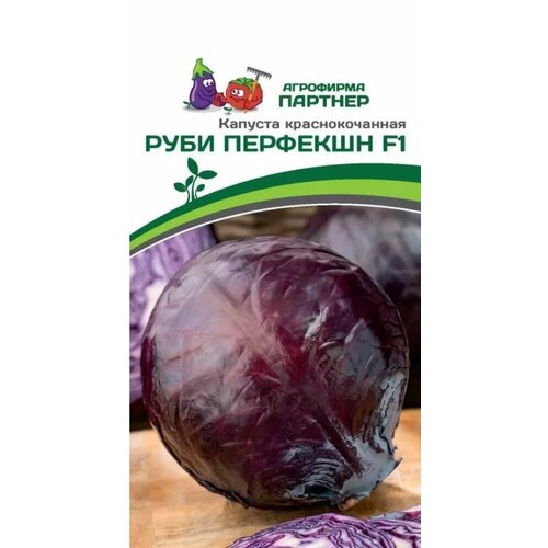 ������ ������ ������ ������� �������������� ���� �������� F1 10�� ��� (�������) ����