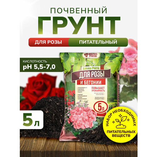 ������ ������ ����� ��� ��� � �������, ����� ��� ������ ��������� 5 ������, ����������, InHome Green ����