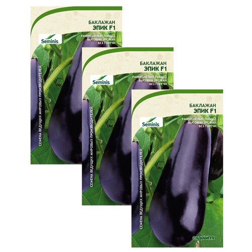 ������ ������ ������ �������� ���� F1 10�� �������� (3 ������) ����