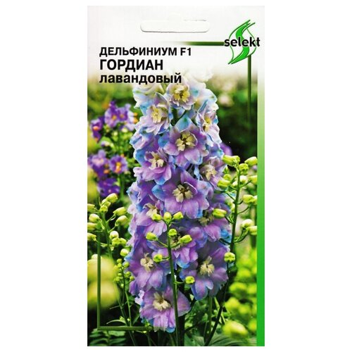 ������ ������ ���������� F1 �������, ����������, 5 ����� ����