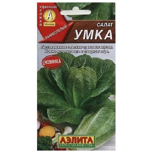 ������ ������ ������ ����� ���� ����