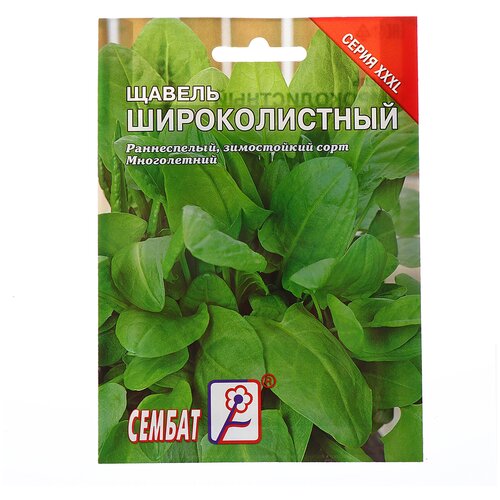 ������ ������ ������ ���L ������ '�������������', 2 � ����