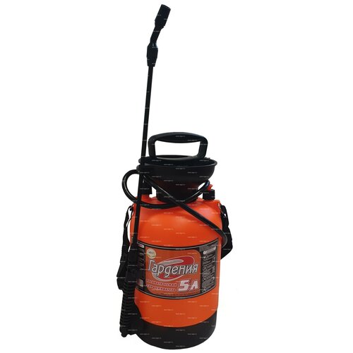 ������ ������ ������������� ������ 