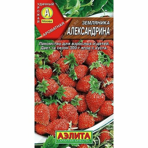 ������ ������ ������ ��������� ������������ �� (������) 0,05� ����