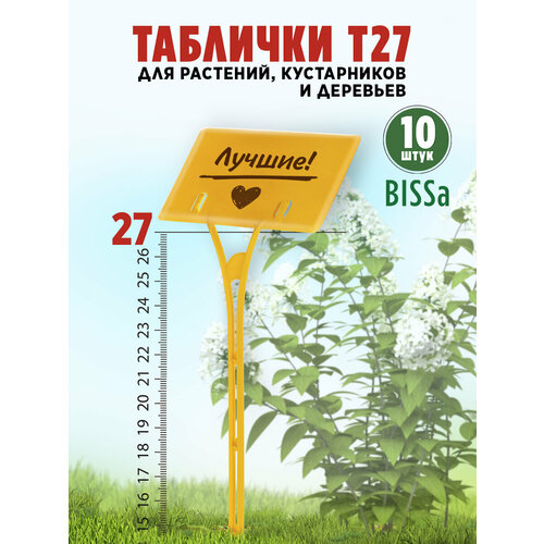 ������ ������ ������� �������� ��� ��������, Bissa �27, ������, 10 �� ����