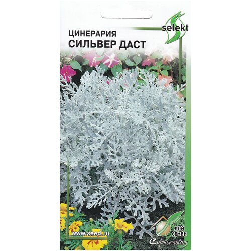 ������ ������ ��������� ���������� ����, 130 ����� ����