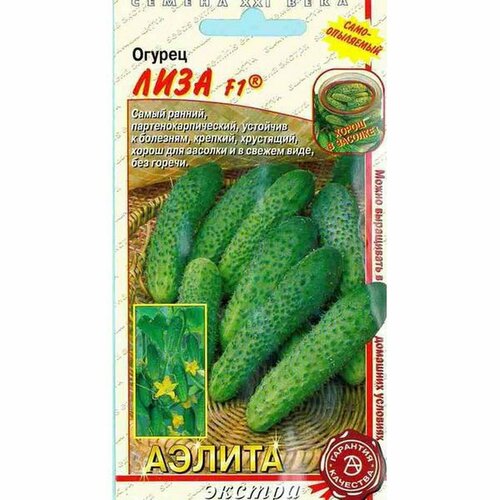 ������ ������ ������ ������ ���� F1 (������������������) (������) 10�� ����