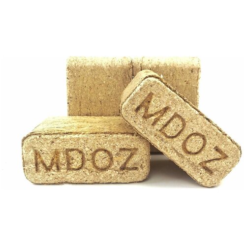 ������ ������ ��������� ������� 10 �� ����