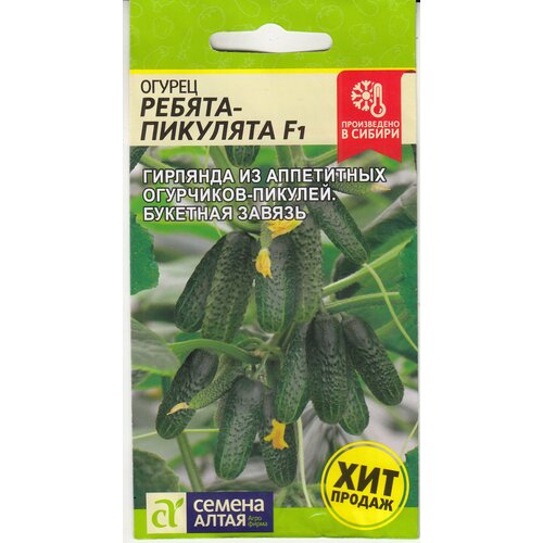 ������ ������ ������ ������-�������� F1 (������ �����) 5 ����� ����