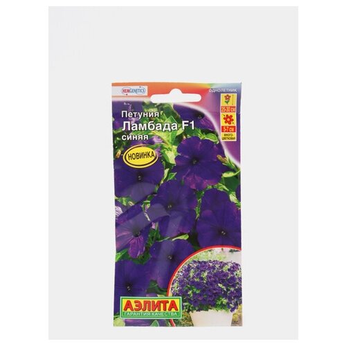 ������ ������ ������. ������� �������������� 