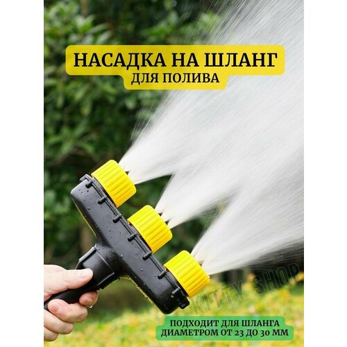 ������ ������ ������� �� ����� ��� ������ ����