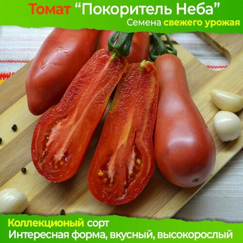 ������ ������ ������ ������ ���������� ���� - ������������� ���� ����