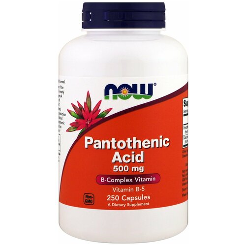 ������ ������ Pantothenic Acid ����., 500 ��, 400 ��, 240 �, 250 ��., 1 ��. ����