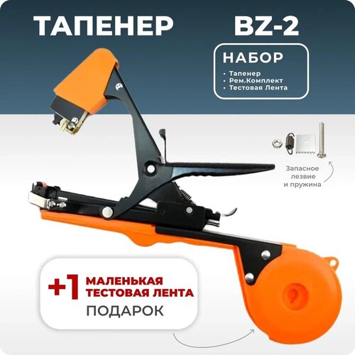   BZ-2 +    -     , -,   