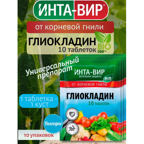 ������ ������ �������� ���������� �� �������� ����� �������� ��� (10��������) 10 ���� ����