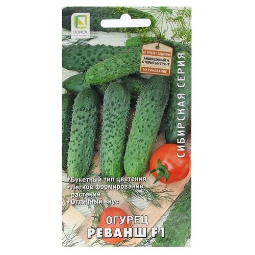 ������ ������ ������ ������ ������ F1 12�� ������������������ ������ (�����) ����