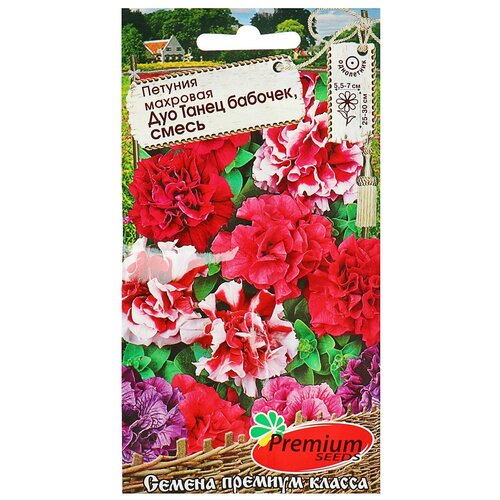 ������ ������ ������ ������ ������� �������� 