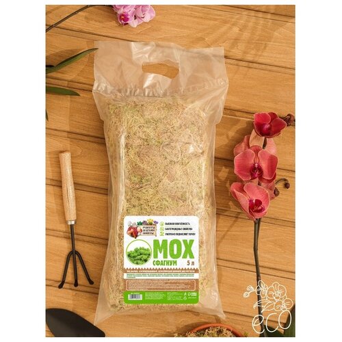 ������ ������ ��� ������� ������� ������� ������ ������������, 5 �, 0.09 �� ����