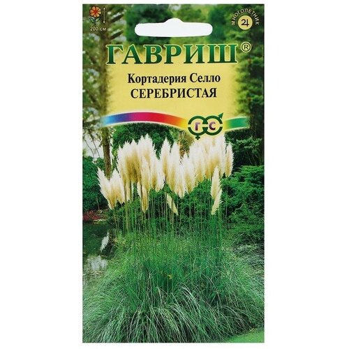 ������ ������ ������ ���������� ����������� 